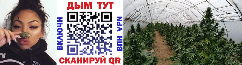 Магазины продажи наркотиков Рыбинск КОКАИН  Меф  АМФ  Лсд 25  МАРИХУАНА 