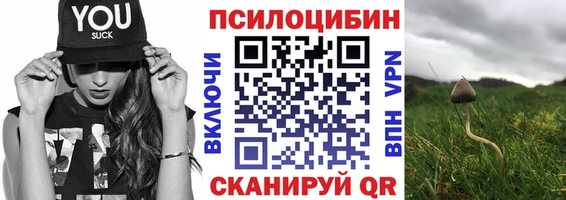 МЕГА ТОР Рыбинск Галлюциногенные грибы мицелий