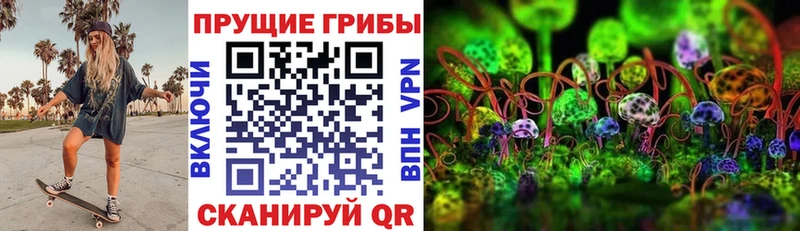 Псилоцибиновые грибы мицелий Рыбинск