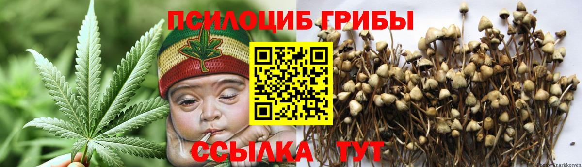 Рыбинск  Галлюциногенные грибы Psilocybine cubensis  Вход с VPN  Псилоцибиновые грибы прущие грибы 